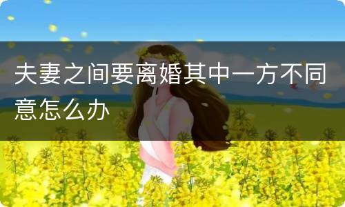 夫妻之间要离婚其中一方不同意怎么办