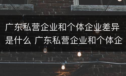 广东私营企业和个体企业差异是什么 广东私营企业和个体企业差异是什么意思