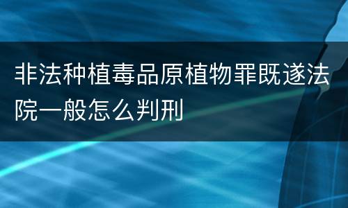 非法种植毒品原植物罪既遂法院一般怎么判刑