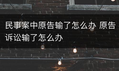 民事案中原告输了怎么办 原告诉讼输了怎么办