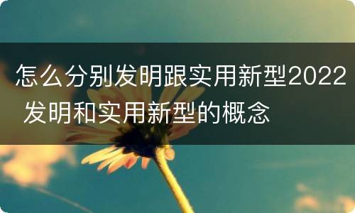 怎么分别发明跟实用新型2022 发明和实用新型的概念