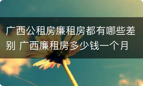 广西公租房廉租房都有哪些差别 广西廉租房多少钱一个月