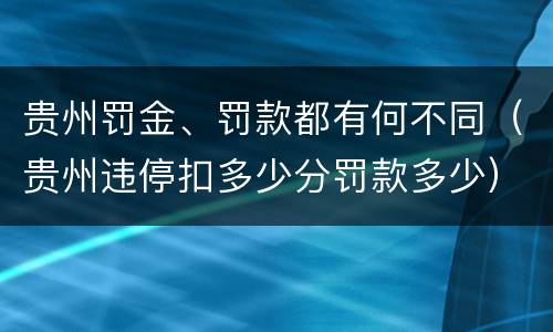 贵州罚金、罚款都有何不同（贵州违停扣多少分罚款多少）