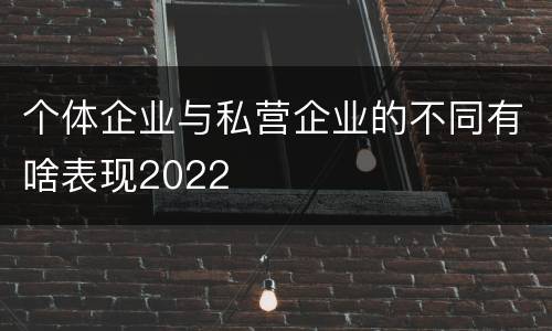 个体企业与私营企业的不同有啥表现2022