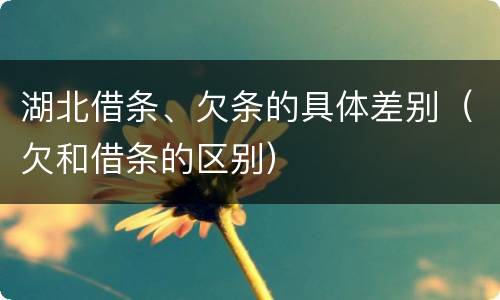 湖北借条、欠条的具体差别（欠和借条的区别）