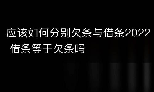 应该如何分别欠条与借条2022 借条等于欠条吗