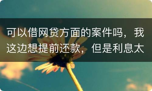 可以借网贷方面的案件吗，我这边想提前还款，但是利息太高