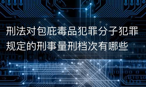 刑法对包庇毒品犯罪分子犯罪规定的刑事量刑档次有哪些