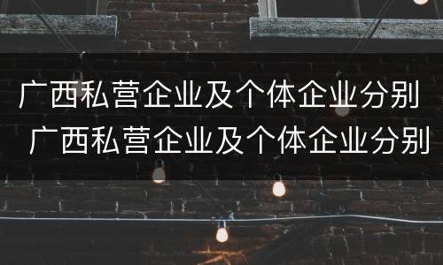 广西私营企业及个体企业分别 广西私营企业及个体企业分别有多少