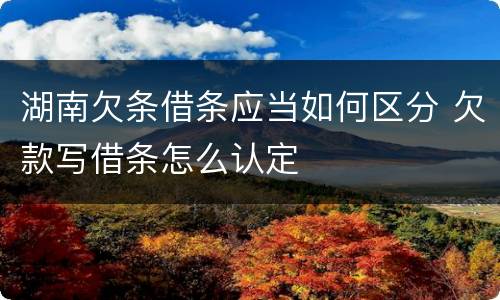 湖南欠条借条应当如何区分 欠款写借条怎么认定