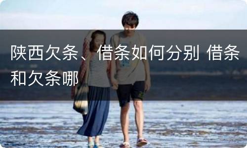 陕西欠条、借条如何分别 借条和欠条哪