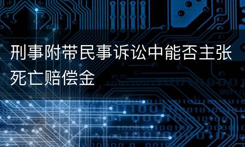 刑事附带民事诉讼中能否主张死亡赔偿金