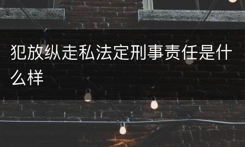 犯放纵走私法定刑事责任是什么样