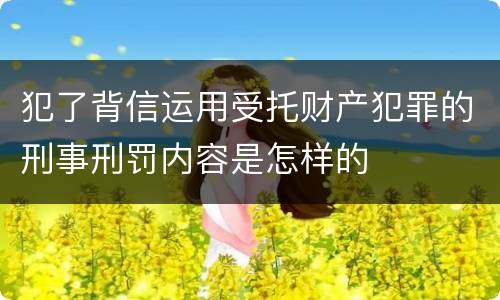 犯了背信运用受托财产犯罪的刑事刑罚内容是怎样的