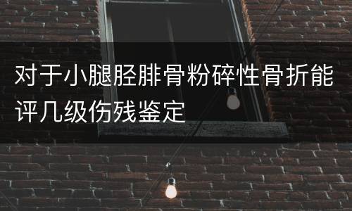 对于小腿胫腓骨粉碎性骨折能评几级伤残鉴定
