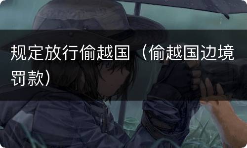 规定放行偷越国（偷越国边境罚款）