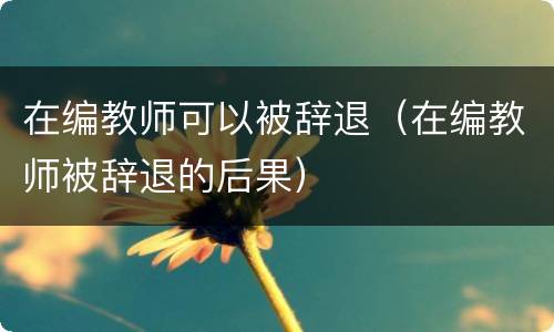 在编教师可以被辞退（在编教师被辞退的后果）