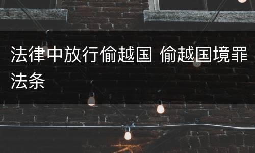 法律中放行偷越国 偷越国境罪法条