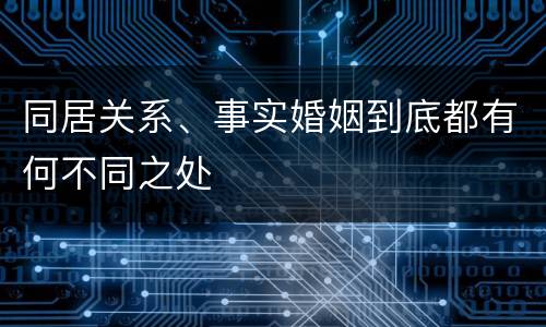 同居关系、事实婚姻到底都有何不同之处