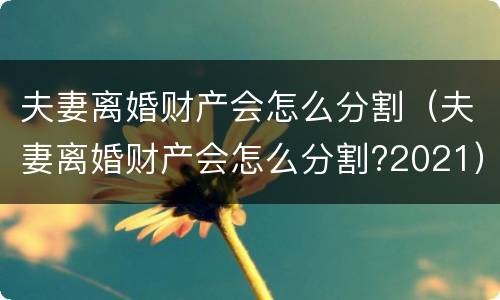 夫妻离婚财产会怎么分割（夫妻离婚财产会怎么分割?2021）