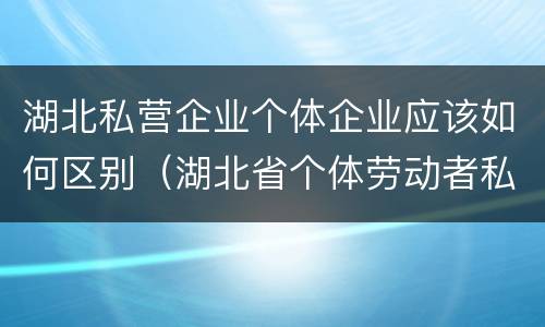 湖北私营企业个体企业应该如何区别（湖北省个体劳动者私营企业协会）