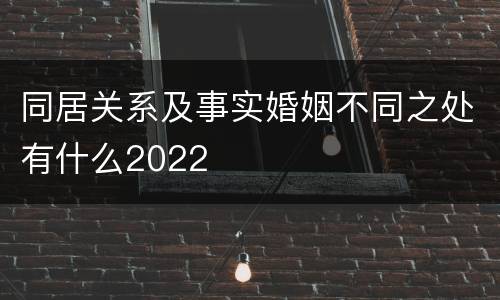 同居关系及事实婚姻不同之处有什么2022