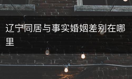 辽宁同居与事实婚姻差别在哪里