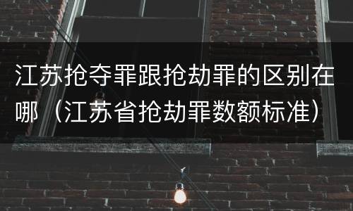 江苏抢夺罪跟抢劫罪的区别在哪（江苏省抢劫罪数额标准）