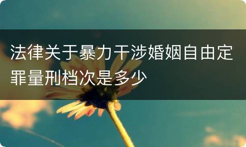 法律关于暴力干涉婚姻自由定罪量刑档次是多少