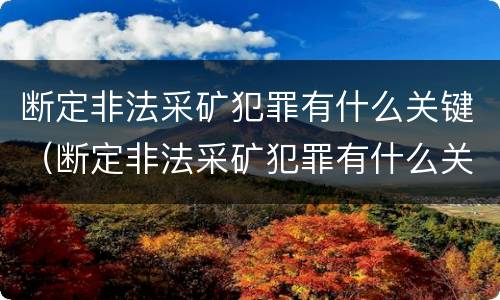 断定非法采矿犯罪有什么关键（断定非法采矿犯罪有什么关键条款）
