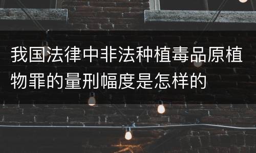 我国法律中非法种植毒品原植物罪的量刑幅度是怎样的