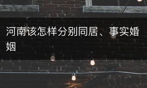 河南该怎样分别同居、事实婚姻