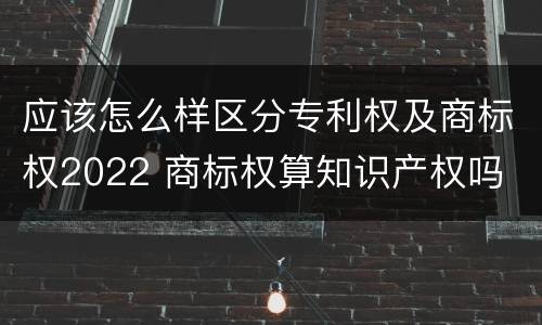应该怎么样区分专利权及商标权2022 商标权算知识产权吗
