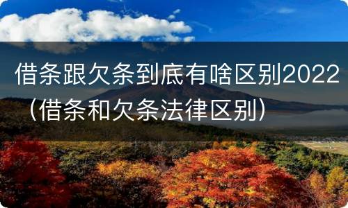 借条跟欠条到底有啥区别2022（借条和欠条法律区别）