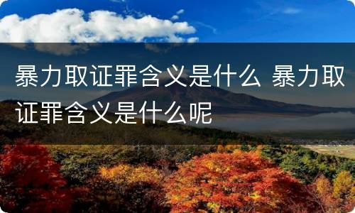 暴力取证罪含义是什么 暴力取证罪含义是什么呢