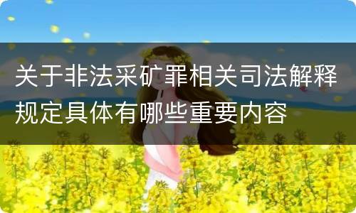 关于非法采矿罪相关司法解释规定具体有哪些重要内容