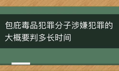 包庇毒品犯罪分子涉嫌犯罪的大概要判多长时间