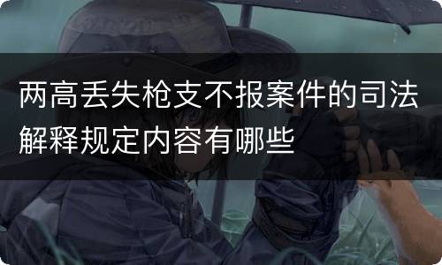 两高丢失枪支不报案件的司法解释规定内容有哪些