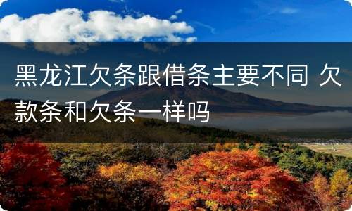 黑龙江欠条跟借条主要不同 欠款条和欠条一样吗