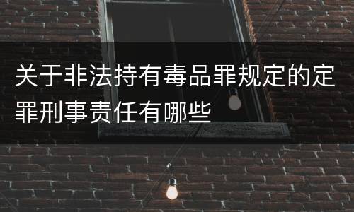 关于非法持有毒品罪规定的定罪刑事责任有哪些
