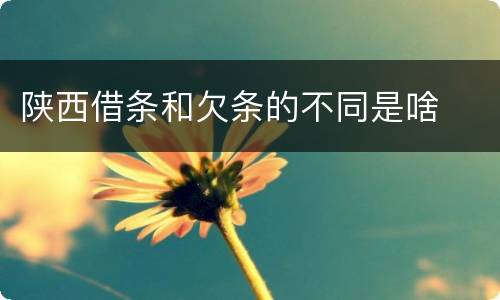 陕西借条和欠条的不同是啥