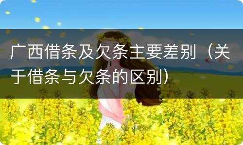 广西借条及欠条主要差别（关于借条与欠条的区别）