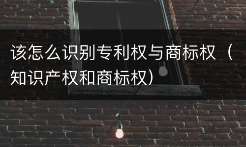 该怎么识别专利权与商标权（知识产权和商标权）