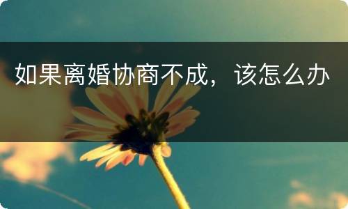 如果离婚协商不成，该怎么办