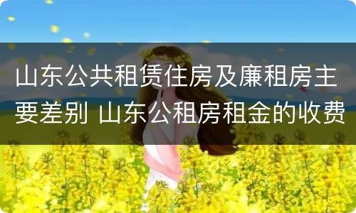 山东公共租赁住房及廉租房主要差别 山东公租房租金的收费标准