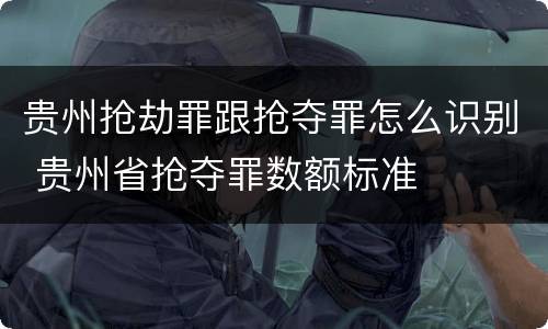贵州抢劫罪跟抢夺罪怎么识别 贵州省抢夺罪数额标准