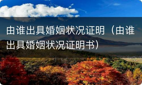 由谁出具婚姻状况证明（由谁出具婚姻状况证明书）