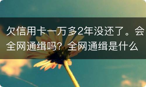 欠信用卡一万多2年没还了。会全网通缉吗？全网通缉是什么意思