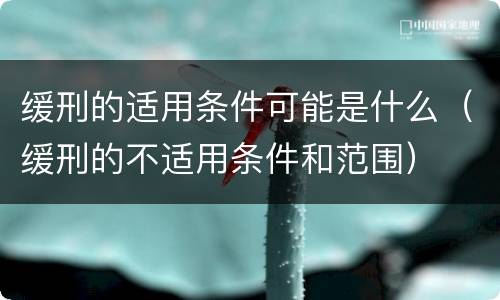 缓刑的适用条件可能是什么（缓刑的不适用条件和范围）