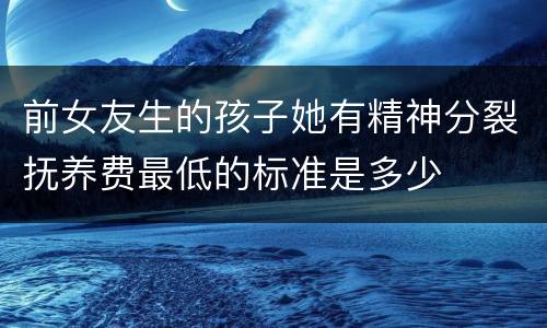 前女友生的孩子她有精神分裂抚养费最低的标准是多少